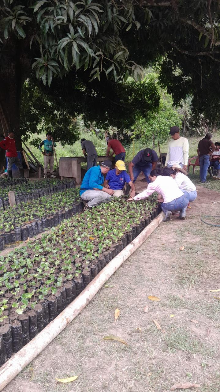 Grupo de personas trabajando en el vivero bajo un árbol