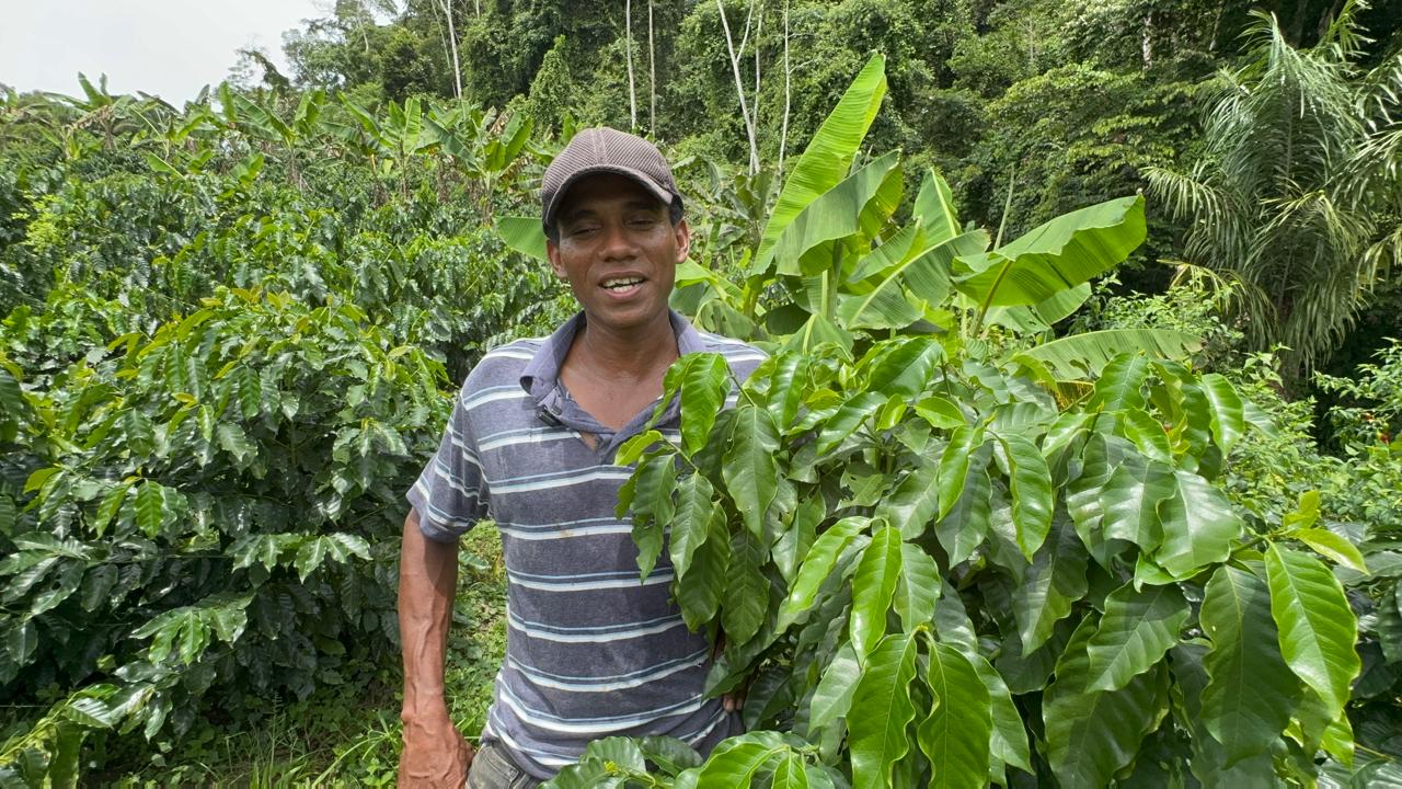 Caficultor sosteniendo una rama de café junto a plátanos