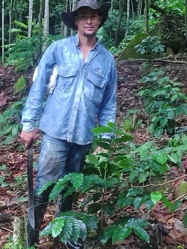 Caficultor con machete junto a una planta joven de café